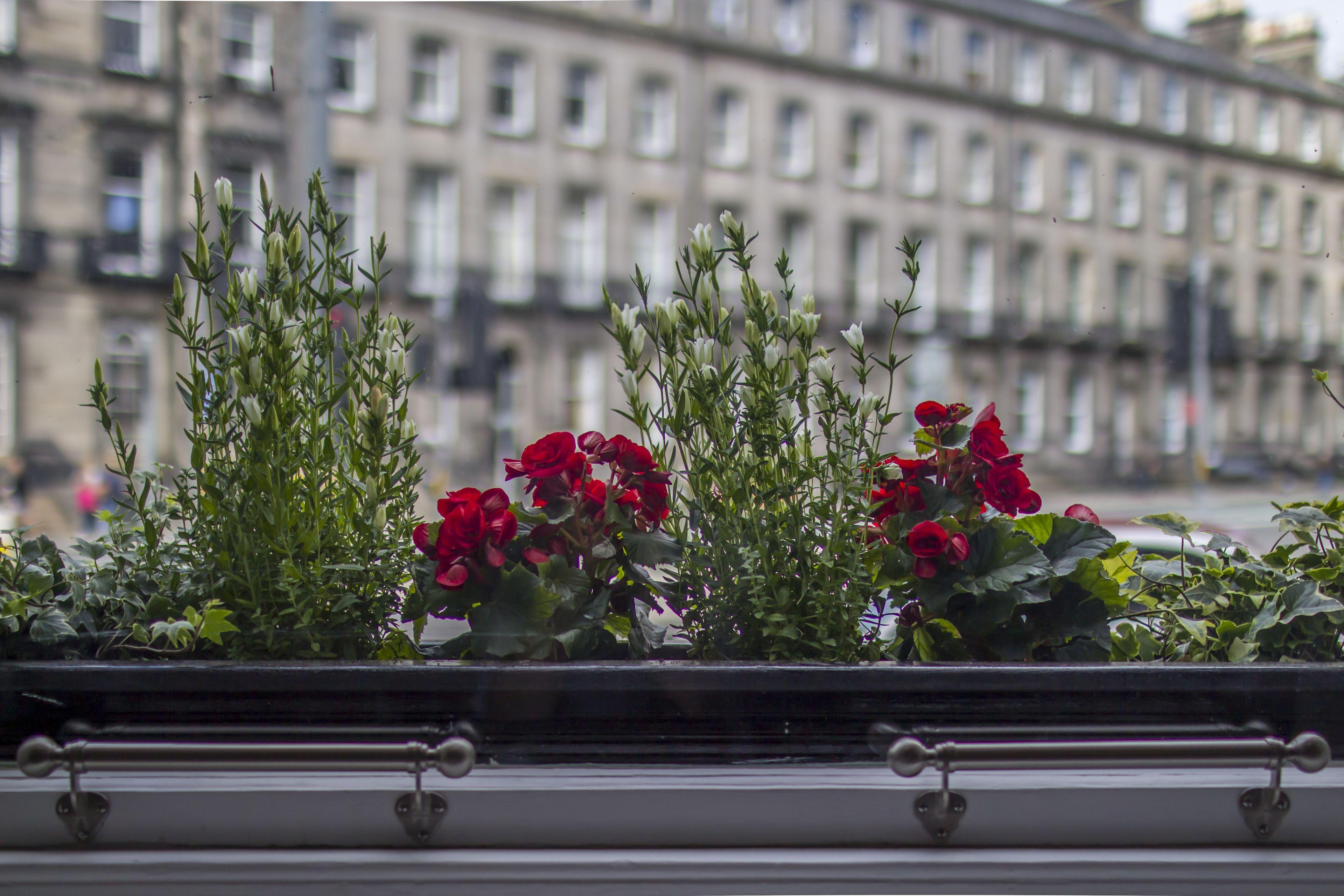 Haymarket Apartments, Edinburgh